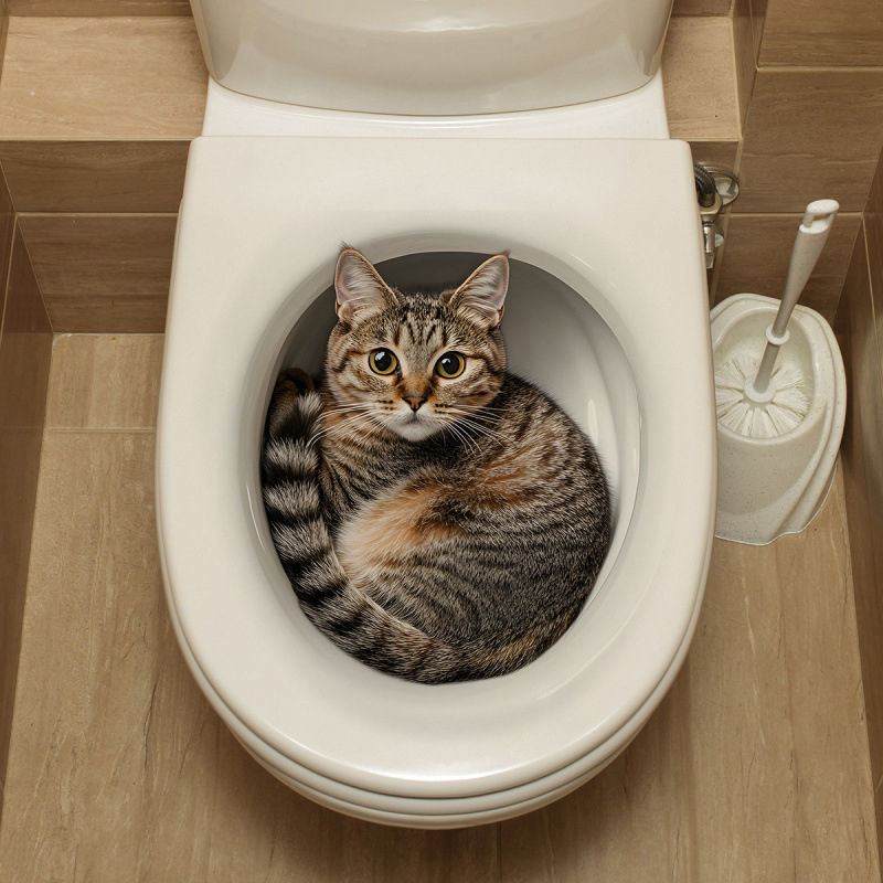 Adesivo 3D divertente a forma  - Jet Home Bathroom Accessories recensione e prezzo