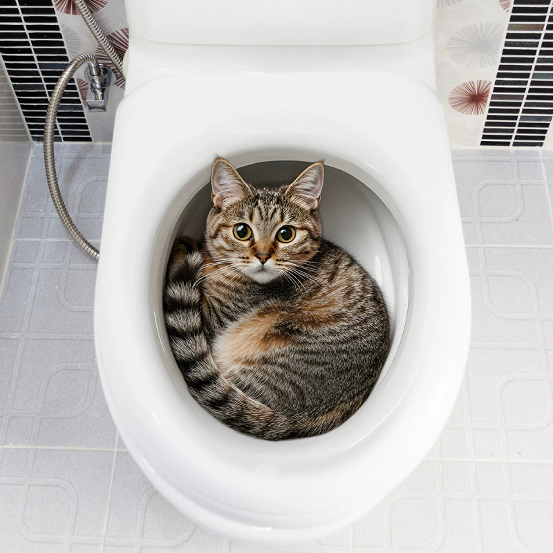 Adesivo 3D divertente a forma  - Jet Home Bathroom Accessories recensione e prezzo